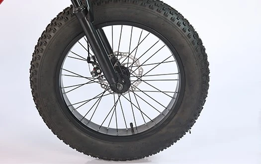 CST fat tire CST fat tire