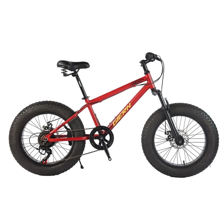 20 Fat Tire maastikuratas