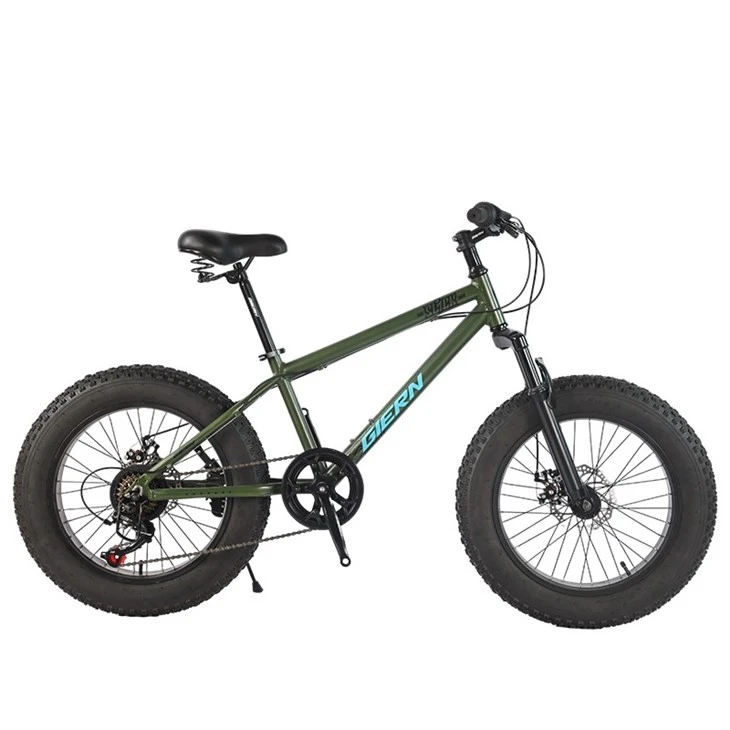 20 Fat Tire Mountain Bike