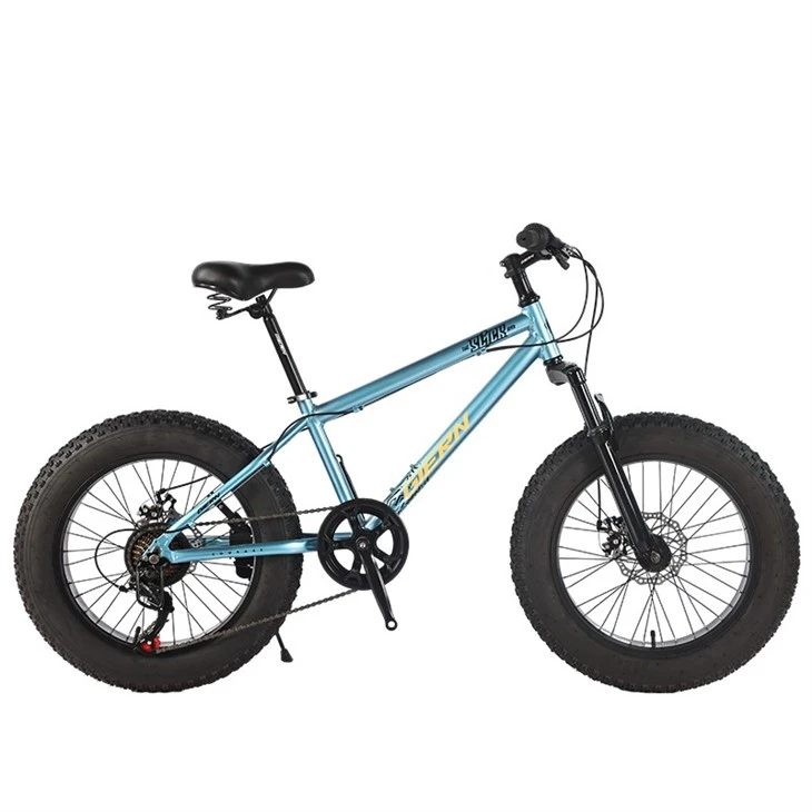 20 Fat Tire Mountain Bike