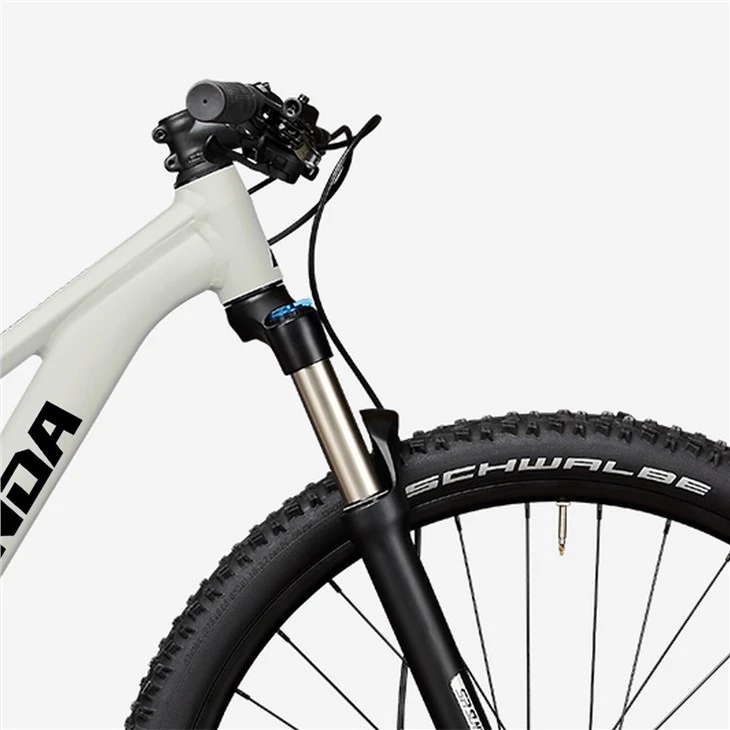 Carbon Cross Country Bike