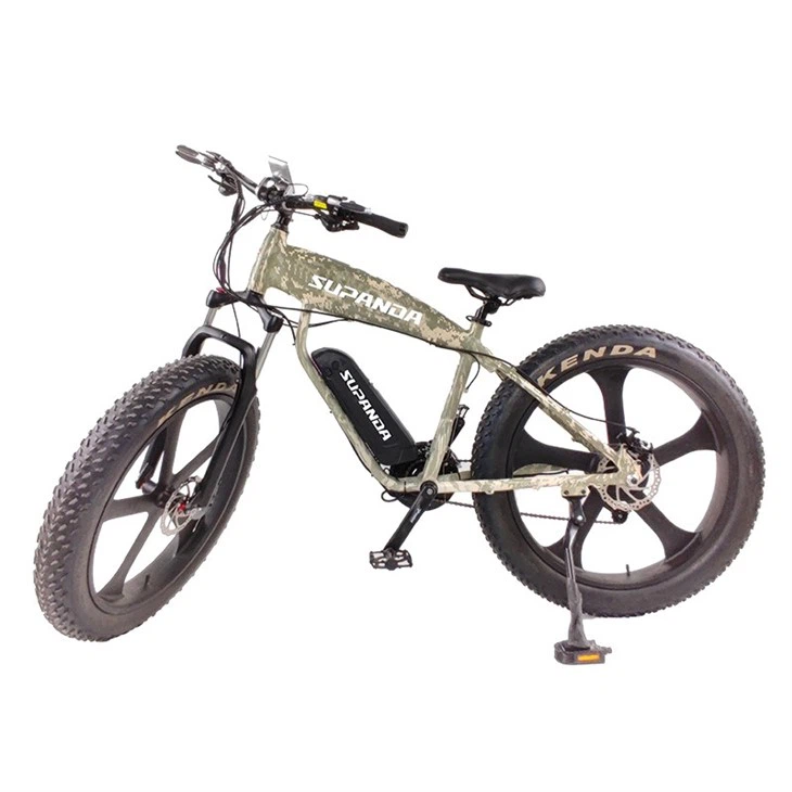 Electric Cross Mountain Bike