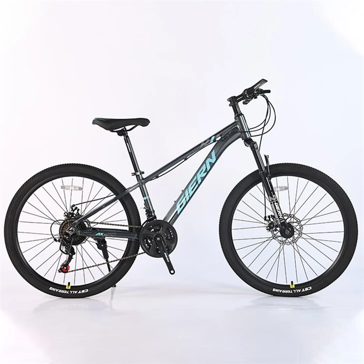 Pink Mountain Bike 26 Inch