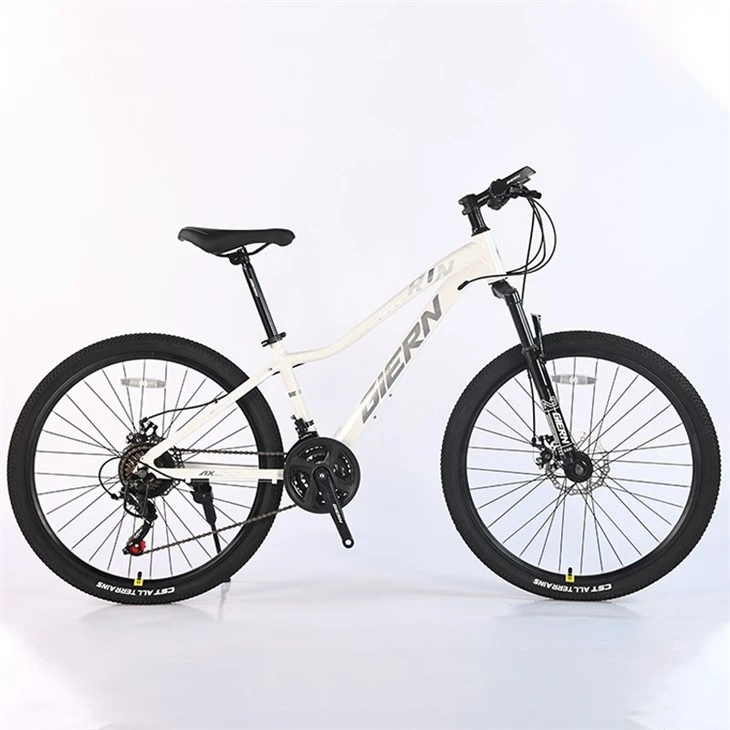 Pink Mountain Bike 26 Inch